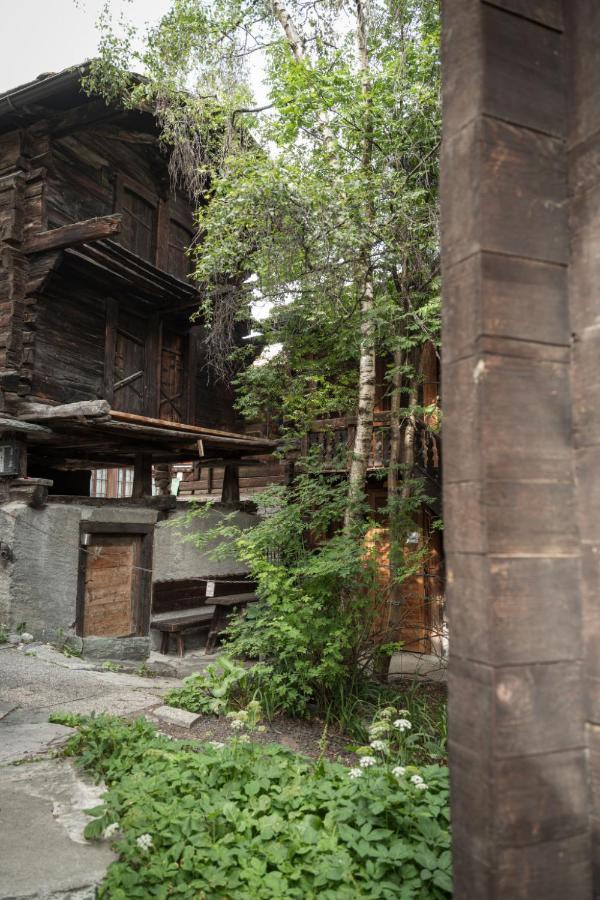 Apartment Villa Emanuel By Interhome Zermatt Exteriér fotografie