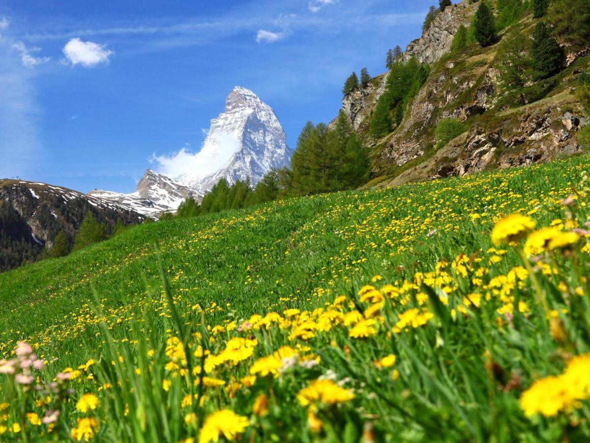 Apartment Villa Emanuel By Interhome Zermatt Exteriér fotografie